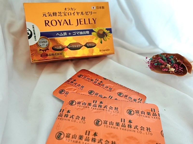 試用